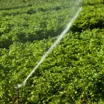 arrosage automatique dans un jardin - Aquitaine Filtration