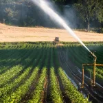 arrosage dans lagriculture - Aquitaine Filtration