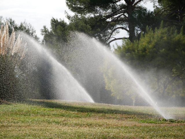 arrosage automatique pelouse